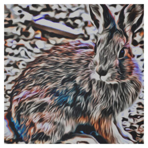 Down the Rabbit Hole