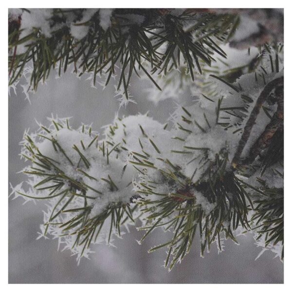 Ice Crystals on Snow