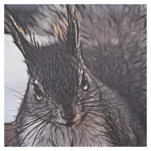 Graybert’s Close-Up