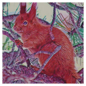 Nutmeg In a Pine Tree