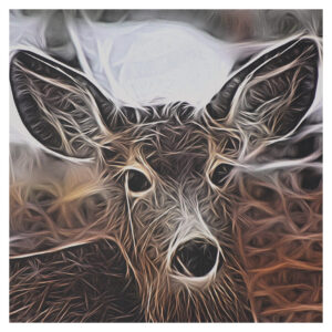 Oh Deer